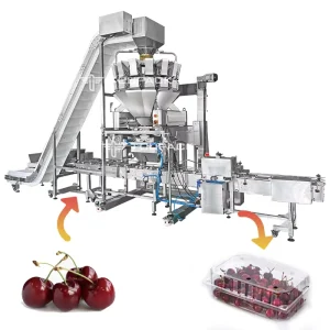 Automatic Stainless Steel Pneumatic Fruit Filling Machine with Sealing for Blueberry Strawberry Cherry Tray Box Packaging