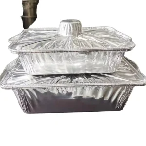 Rectangular Disposable Eco Friendly Aluminum Foil Container with Foil Lid Pulp Moulding